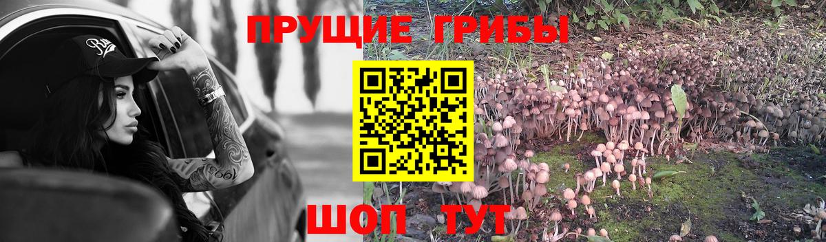 Галлюциногенные грибы ЛСД  Вход с VPN  где продают   Новотроицк 